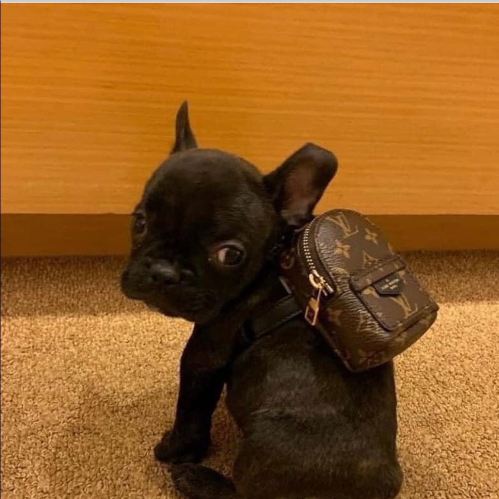 Meet your Posher, Gina